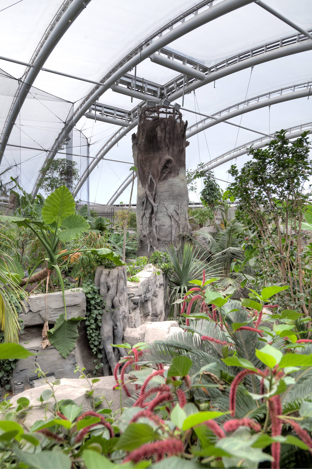 Monsoon Forest - 22/08/2015