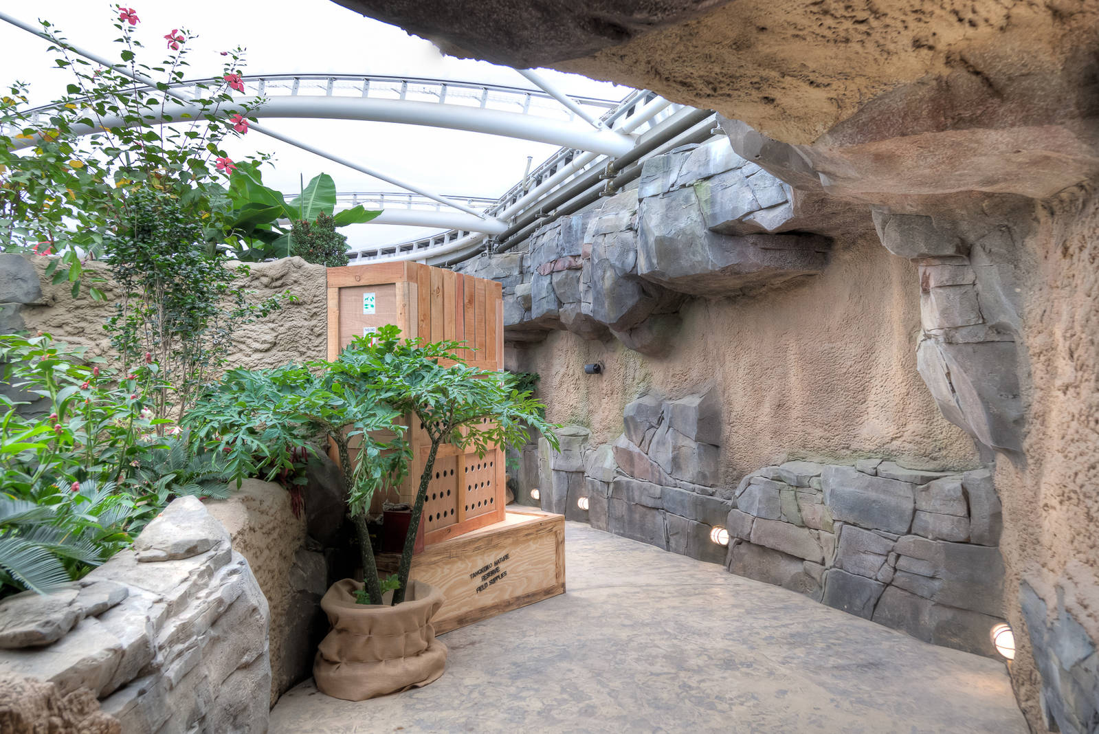 Monsoon Forest - 22/08/2015