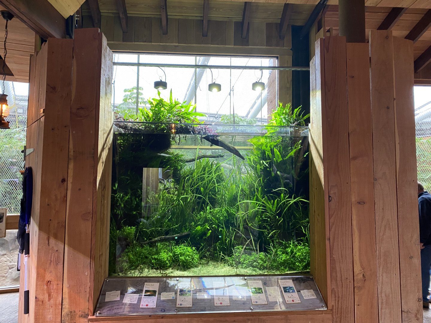 Monsoon Forest - Aquarium 181021