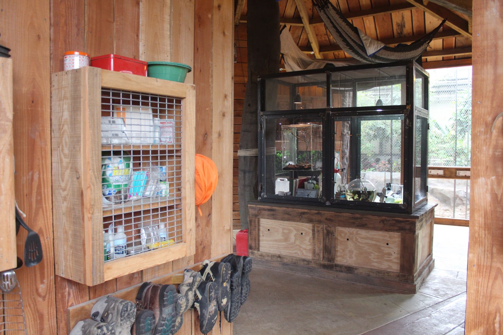 Monsoon Forest displays