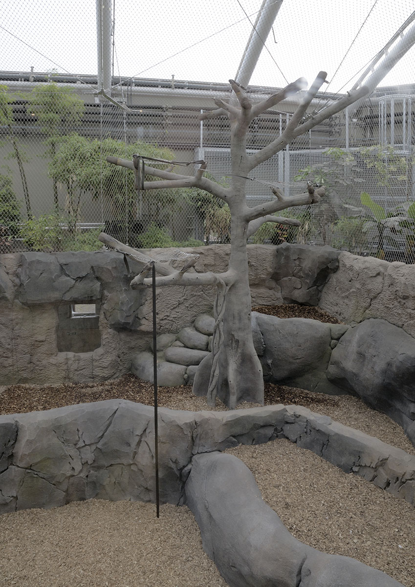 Monsoon Forest: eastern orang enclosure