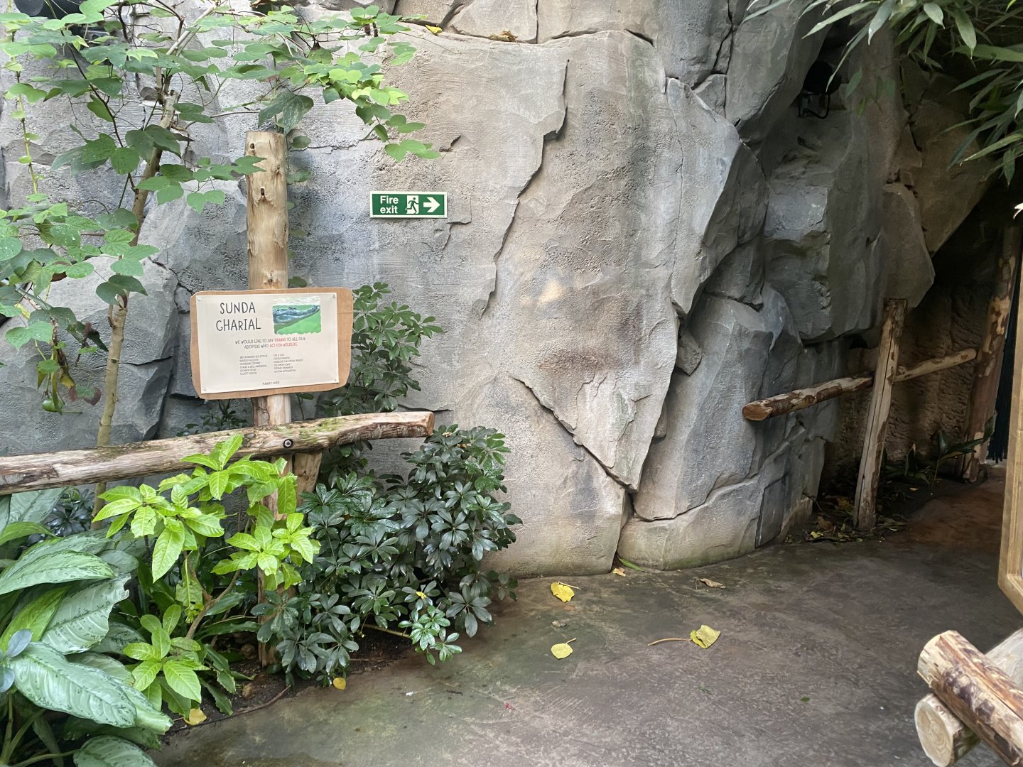 Monsoon Forest - entrance to False gharials 241123