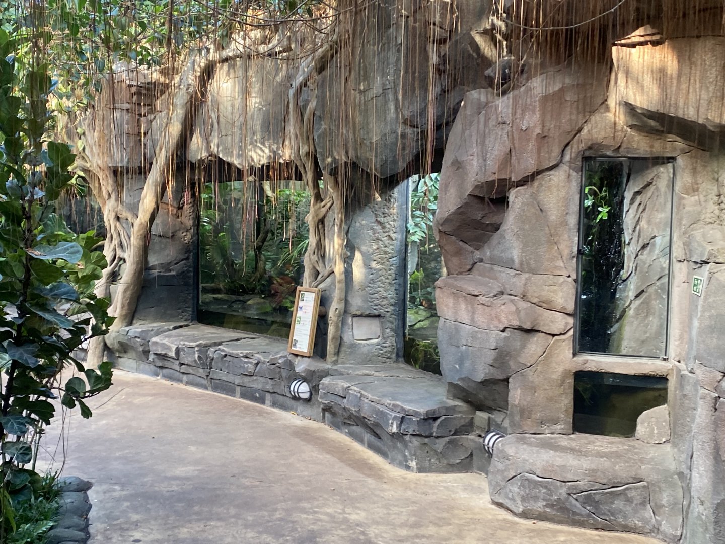 Monsoon Forest exhibits 241123