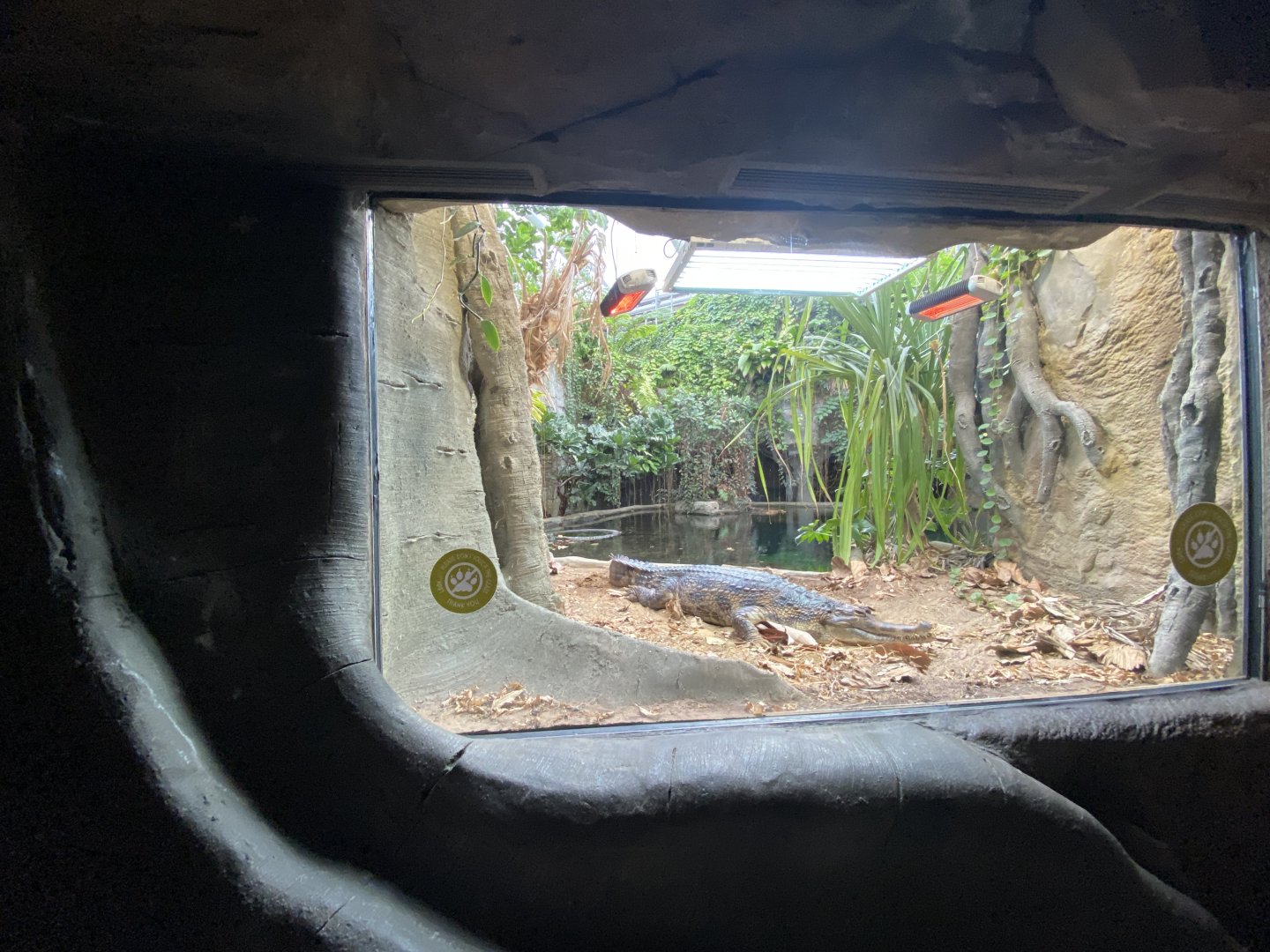 Monsoon Forest - False gharial exhibit 181021