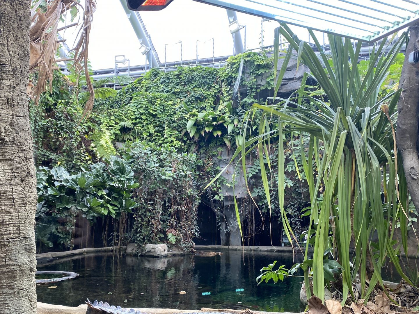 Monsoon Forest - False gharial exhibit 181021