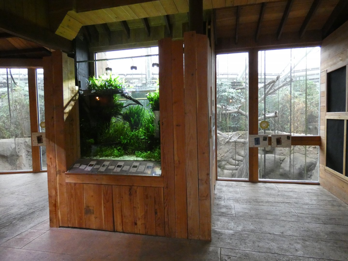 Monsoon forest fish tank