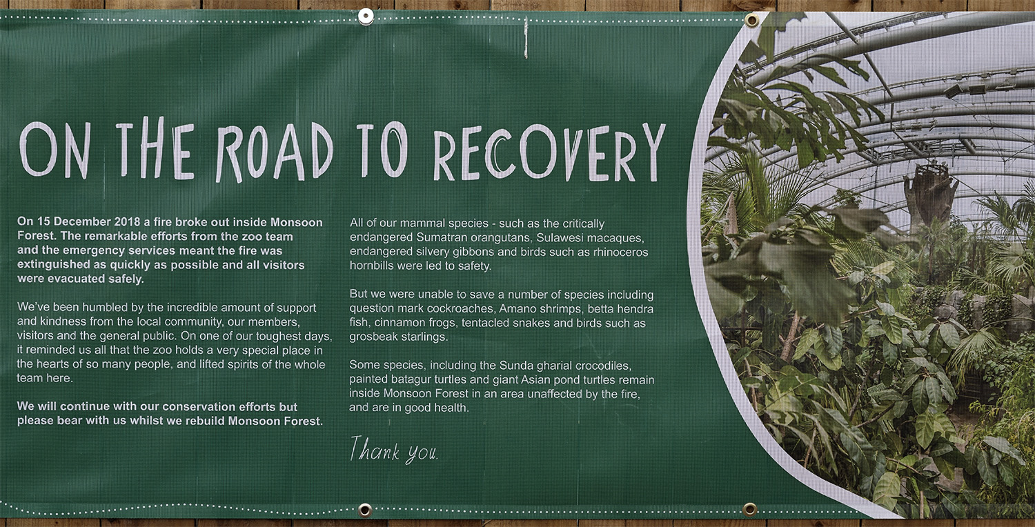 Monsoon Forest Information