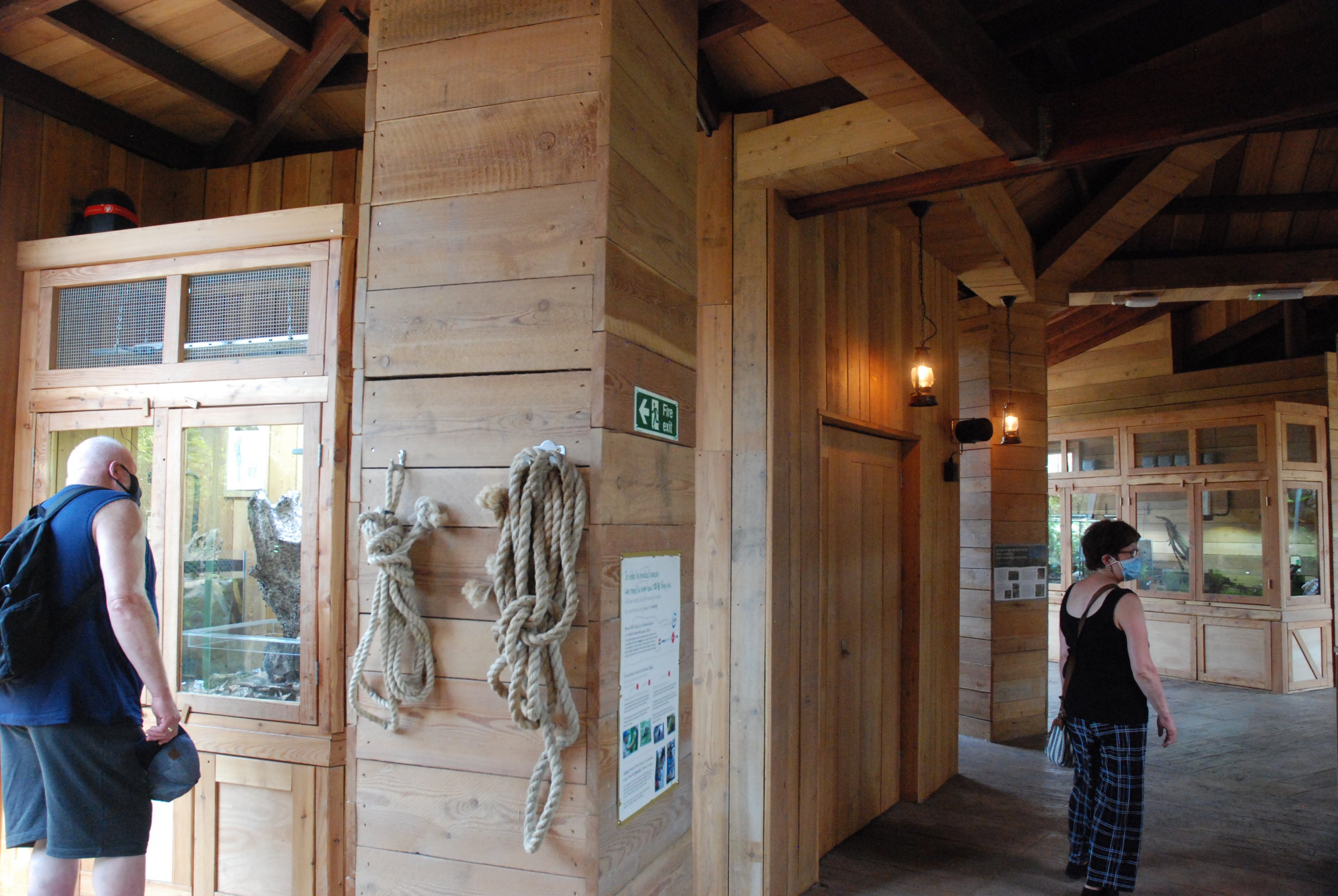 Monsoon Forest Interior at Chester, 20th July 2021