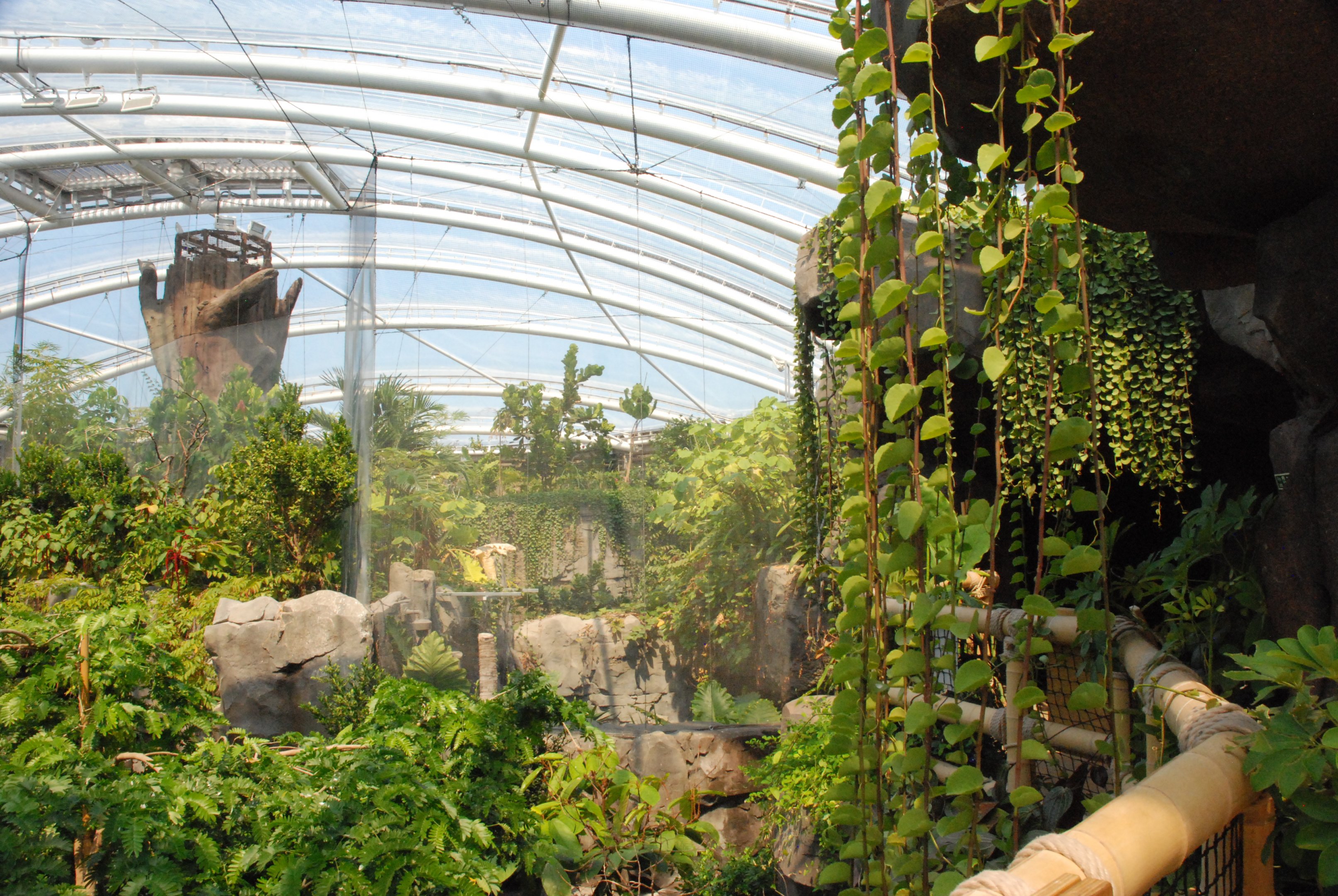 Monsoon Forest Interior at Chester, 20th July 2021