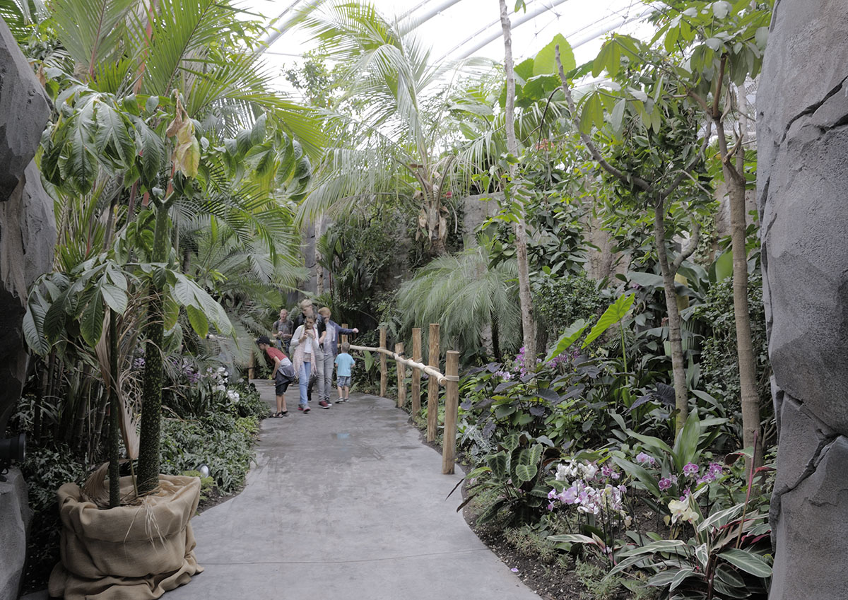 Monsoon Forest: looking back from exit