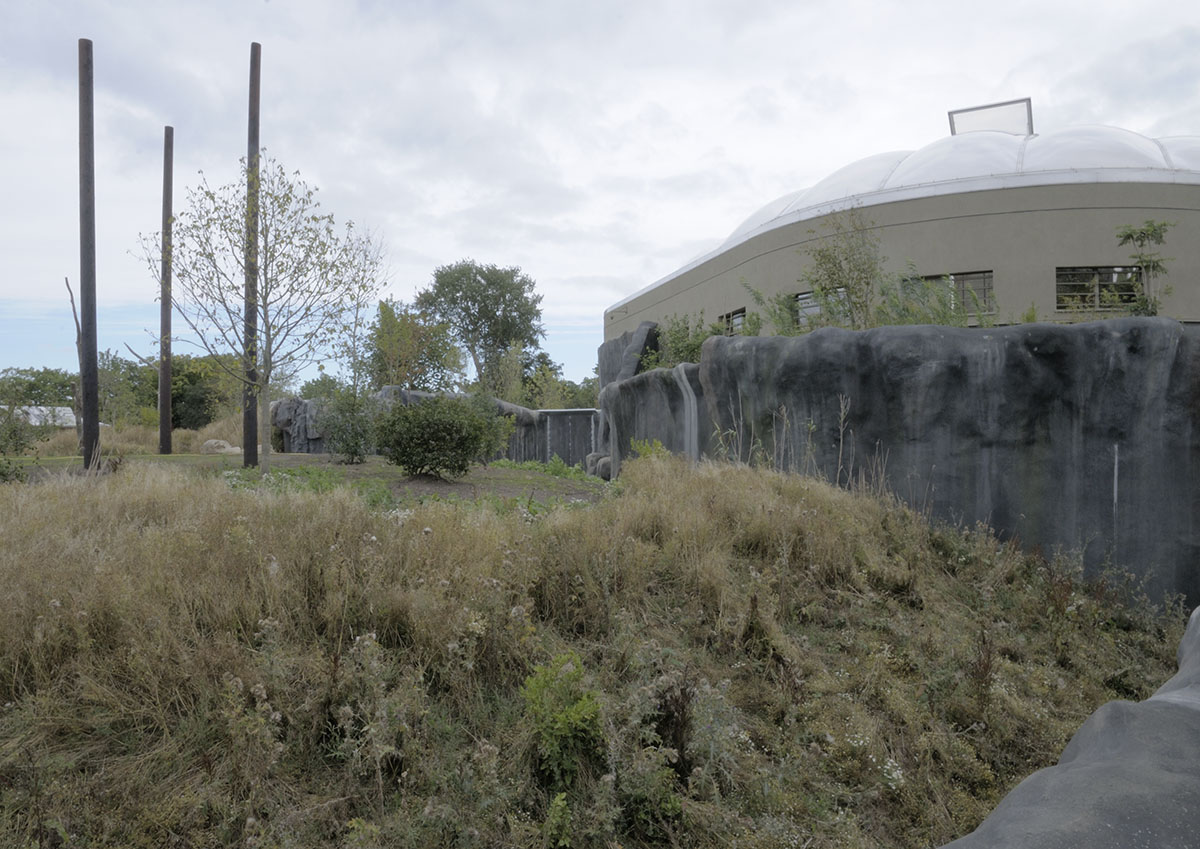 Monsoon Forest: macaque outdoor enclosure