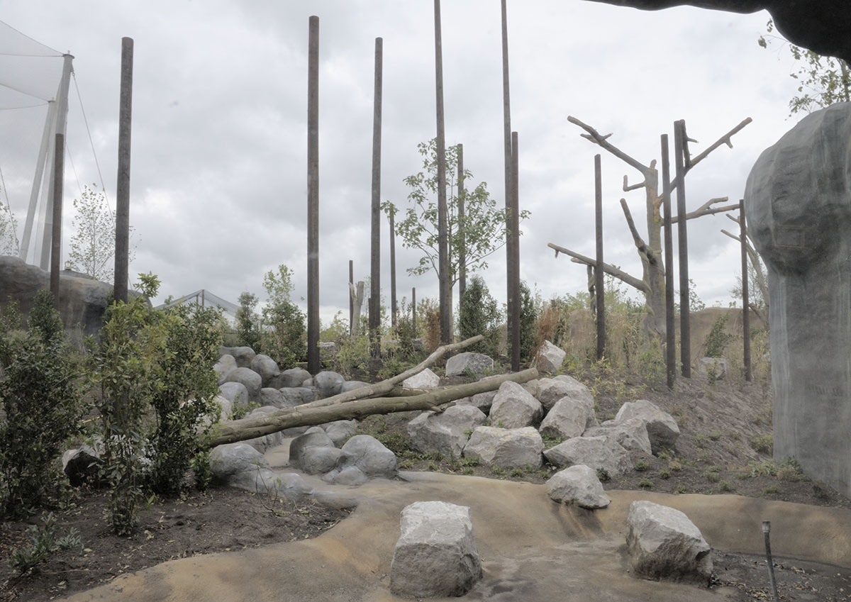 Monsoon Forest: orang outdoor enclosure