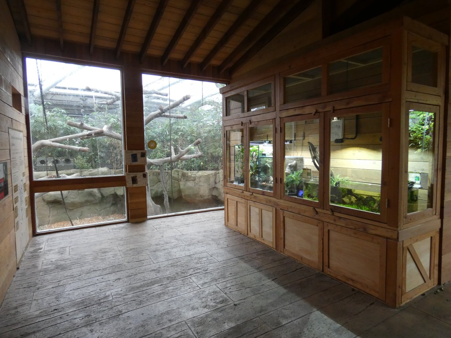 Monsoon forest orang-utan viewing areas