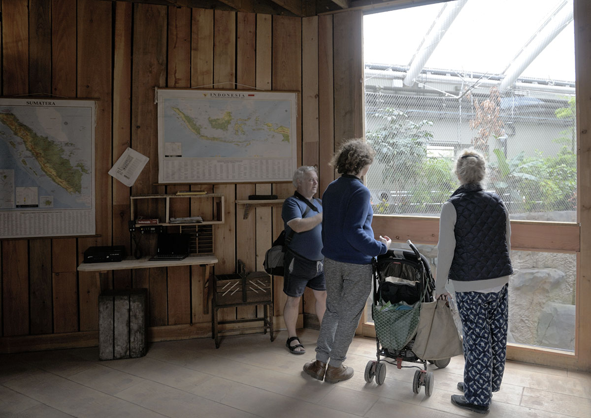 Monsoon Forest: orang viewing area