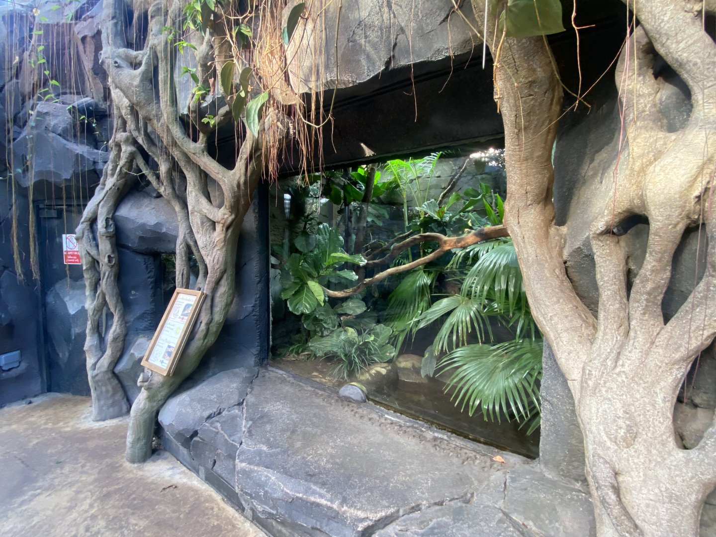 Monsoon Forest - Quince monitor exhibit 241123