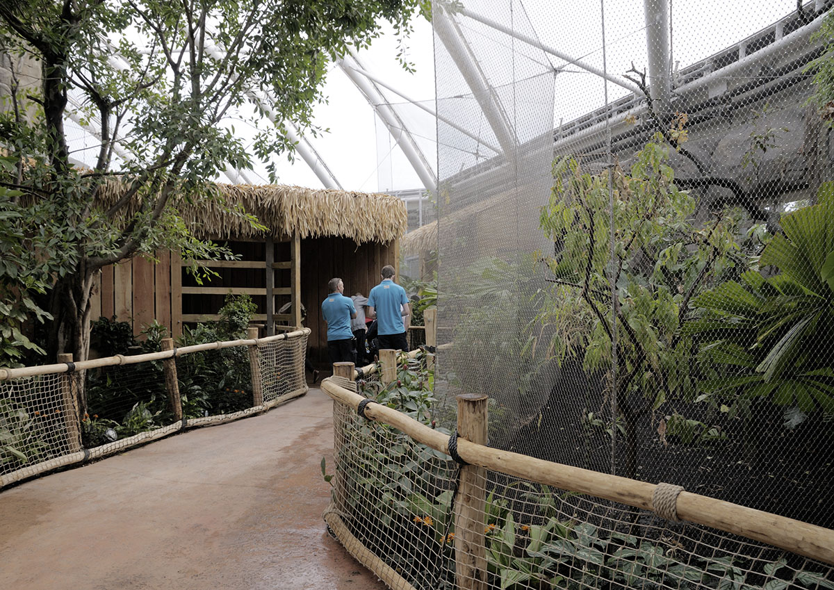 Monsoon Forest: Rhinoceros Hornbill Aviary