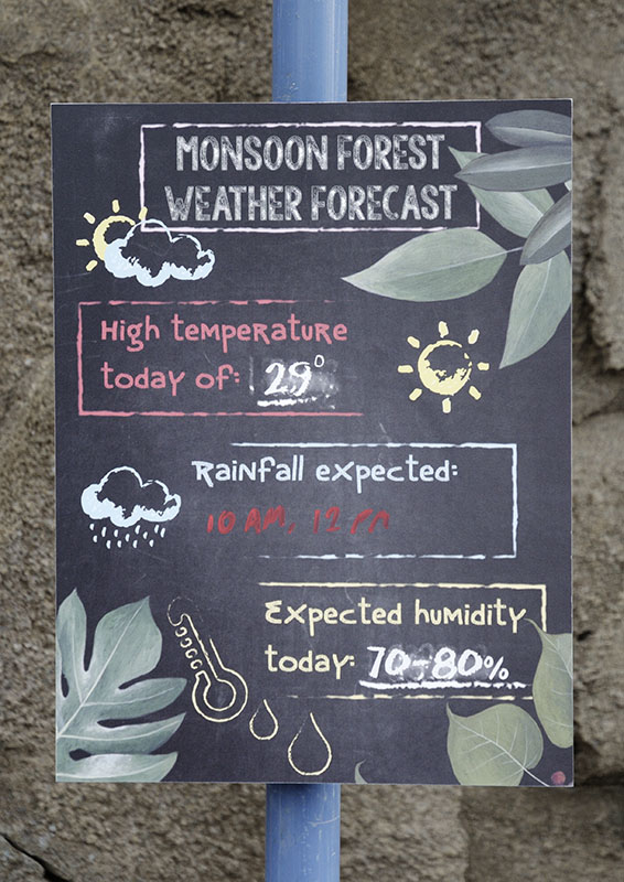 Monsoon Forest: Signage
