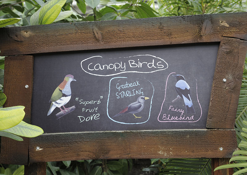 Monsoon Forest: Signage