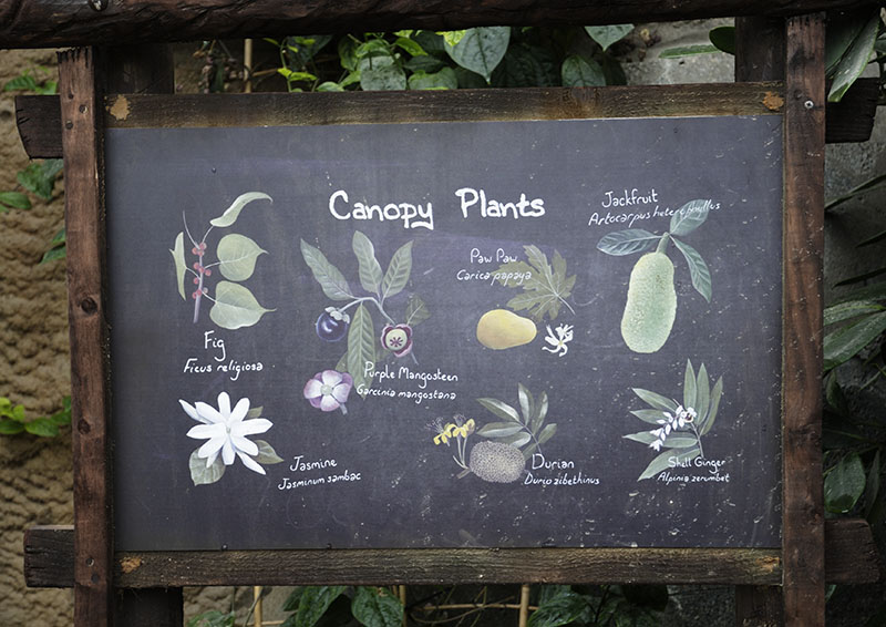 Monsoon Forest: Signage