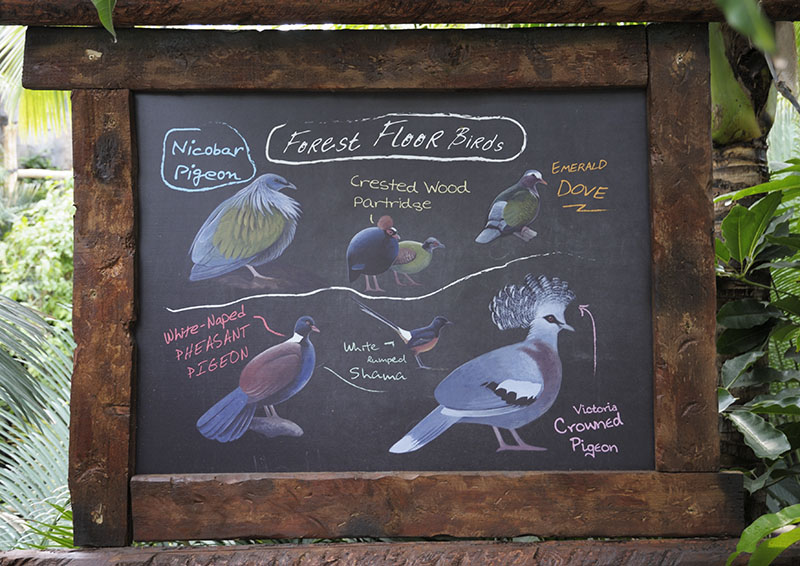 Monsoon Forest: Signage