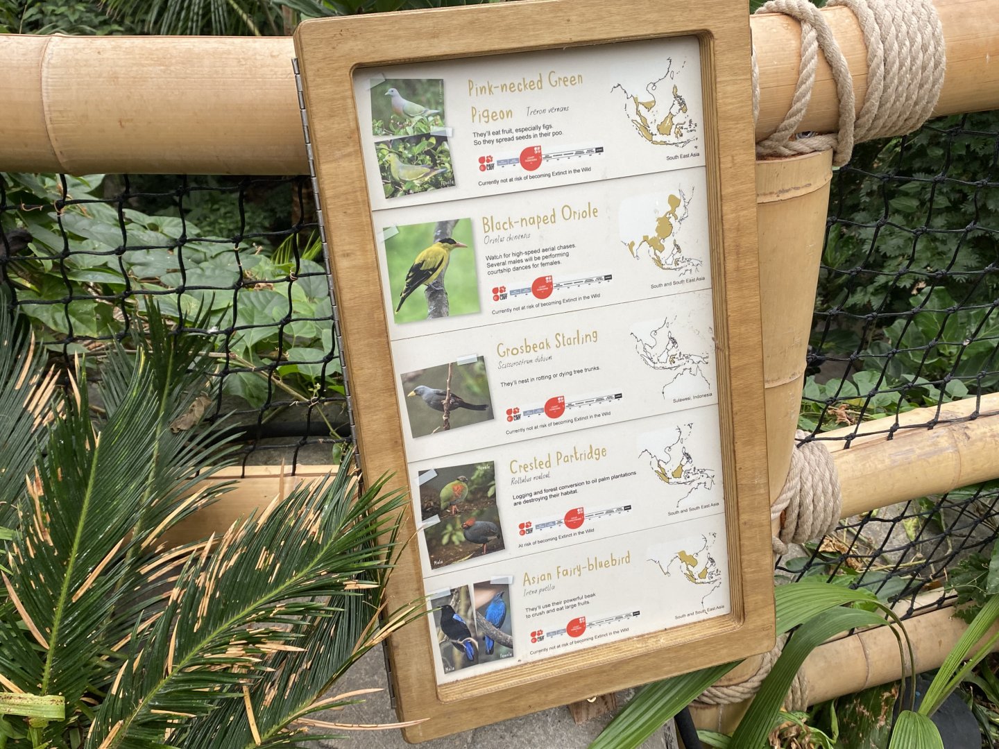 Monsoon Forest - signs for free flyers 181021