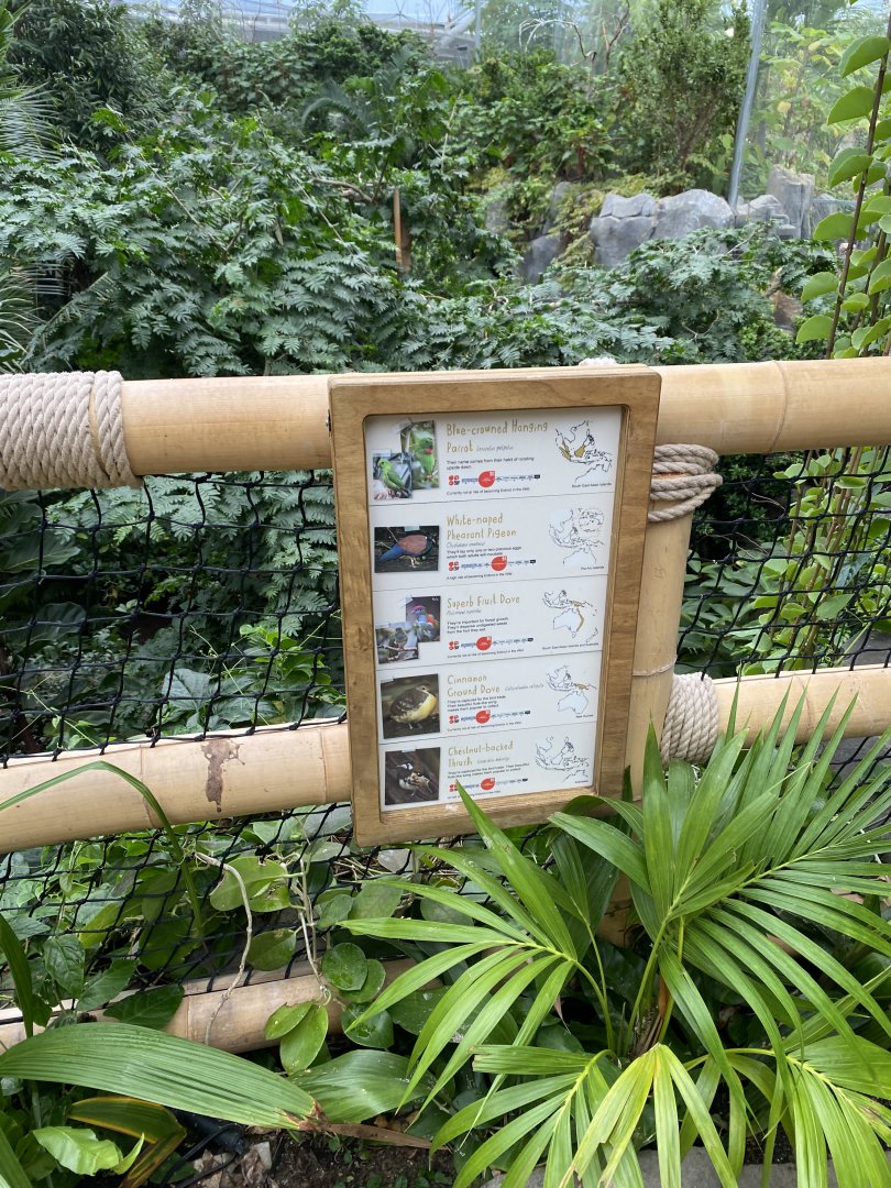 Monsoon Forest - signs for free flyers 181021