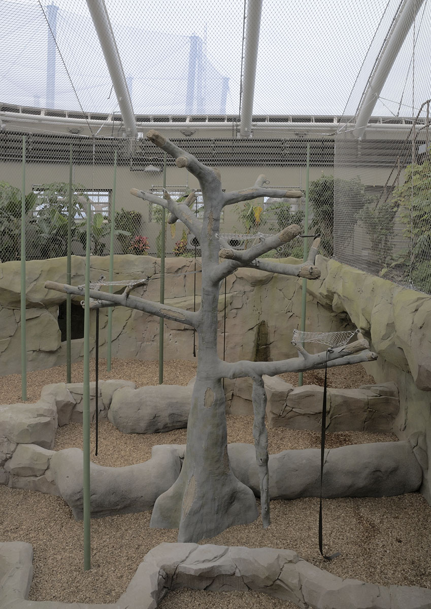 Monsoon Forest: south west orang enclosure