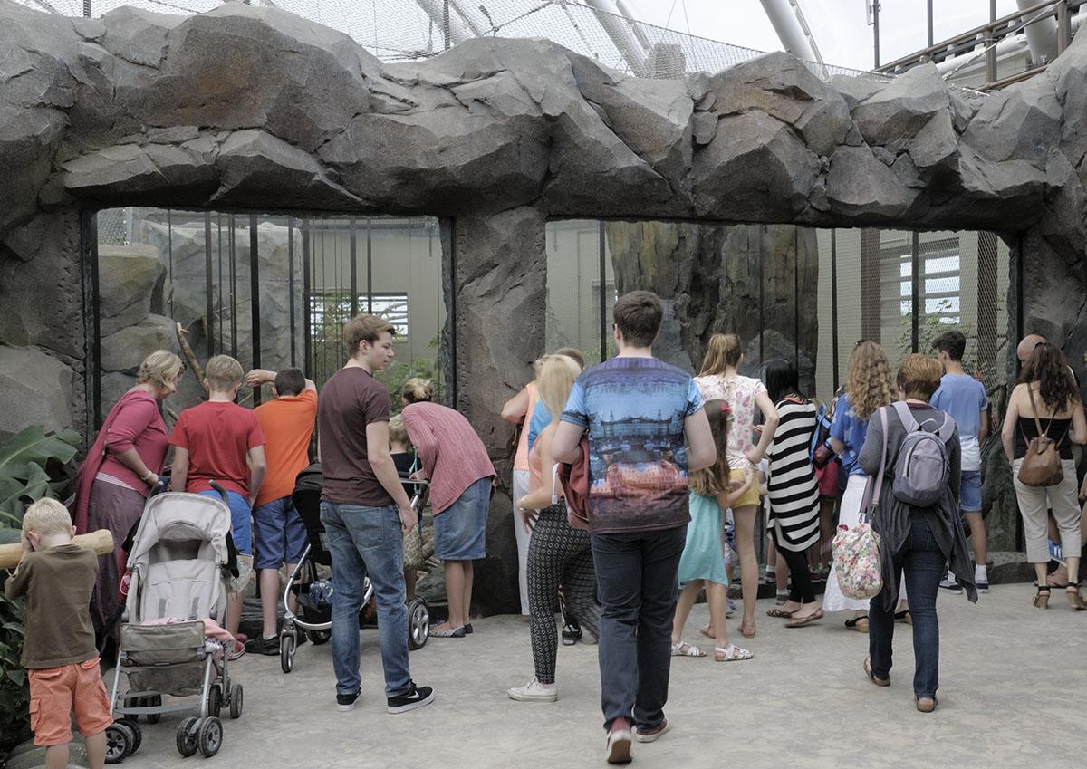 Monsoon Forest: upper macaque viewing windows
