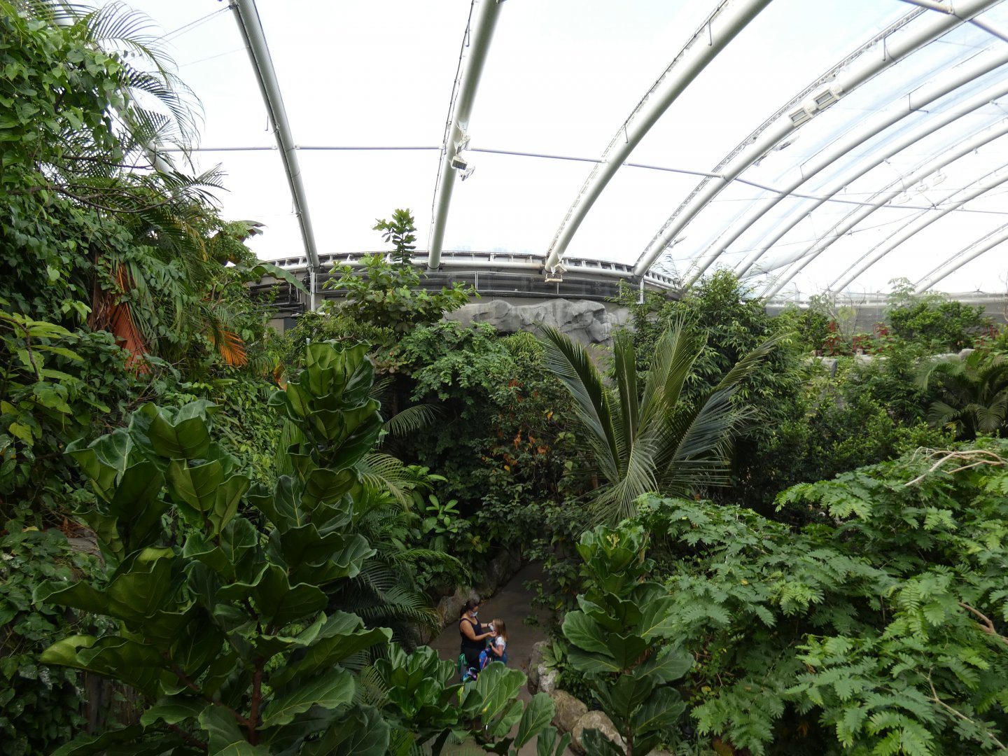 Monsoon forest walk-through area