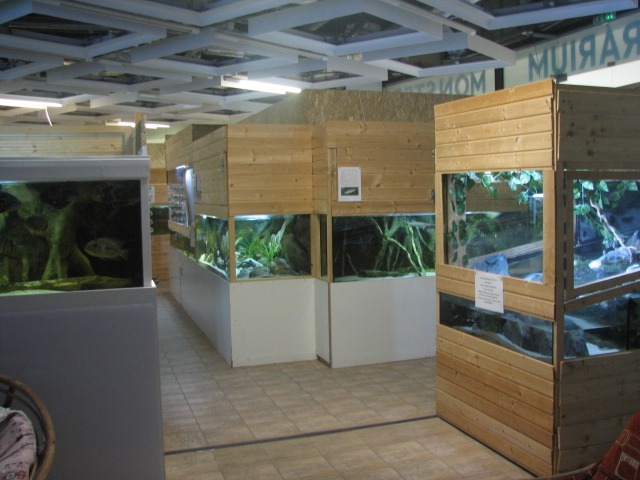 Monster Fish Zoo Budapest, General view