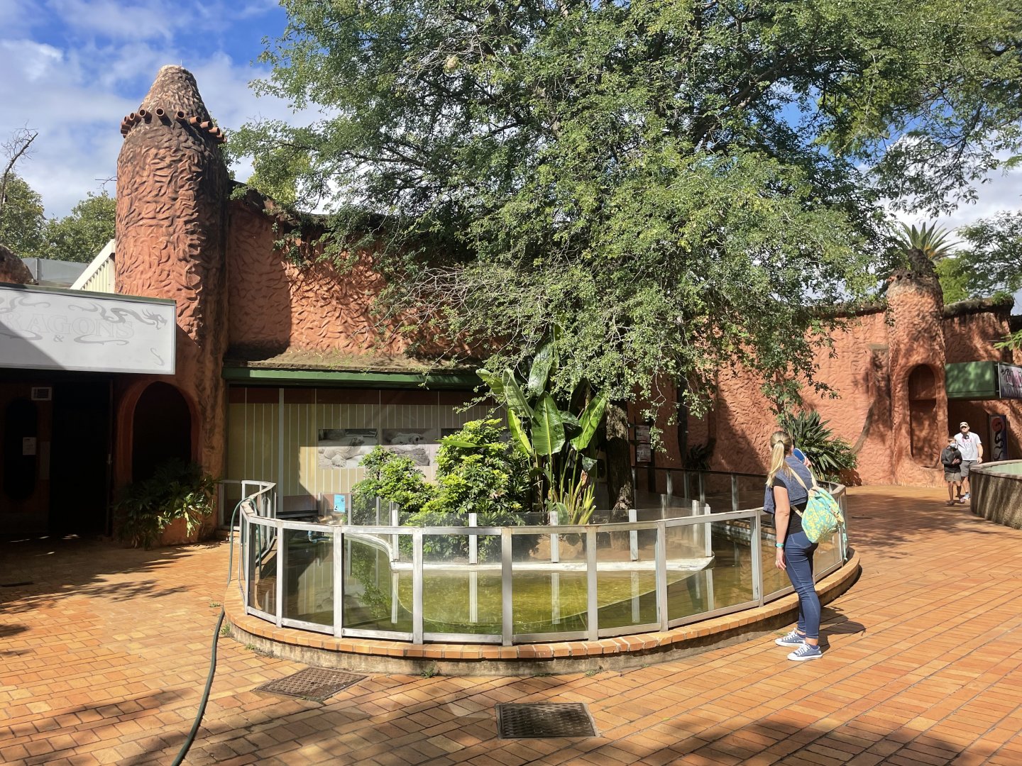 Monsters and Dragons Building