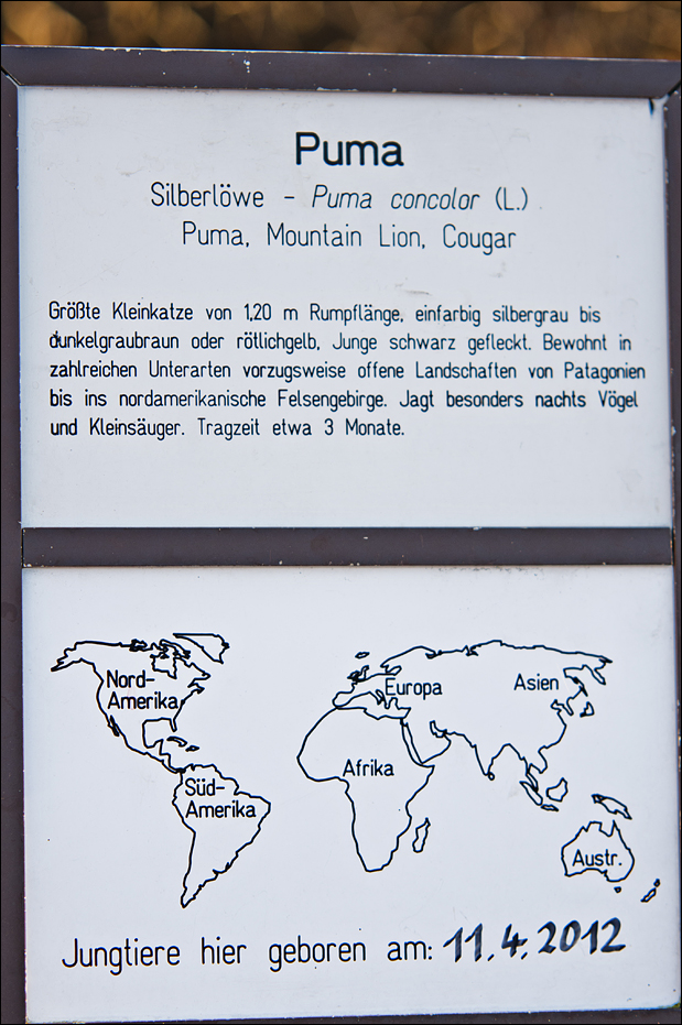 Montana puma sign at Berlin Tierpark