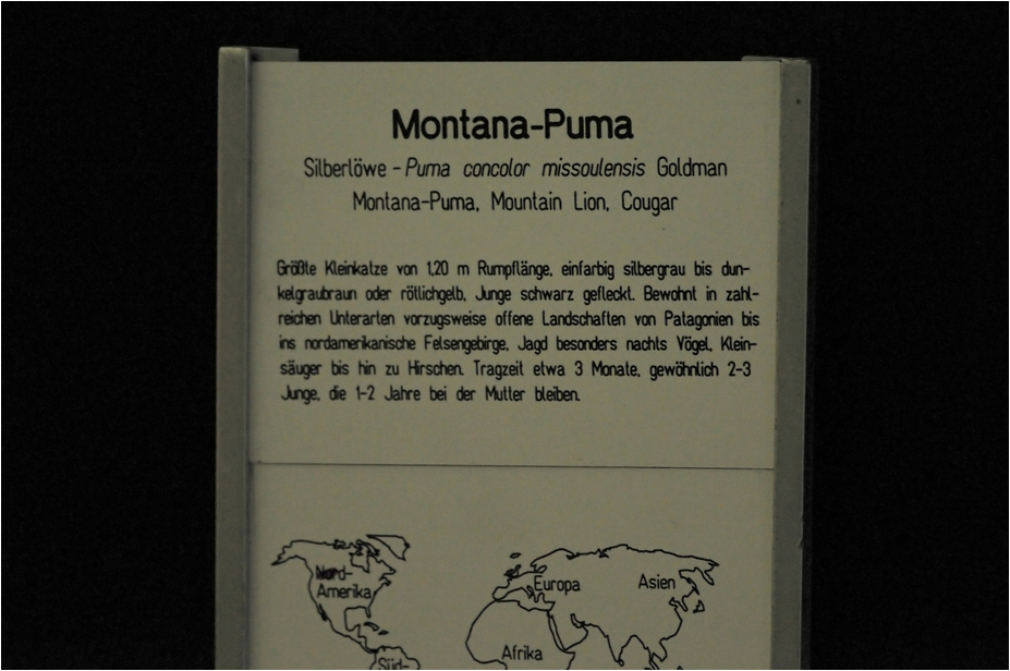 Montana-Puma-sign at Tierpark Berlin