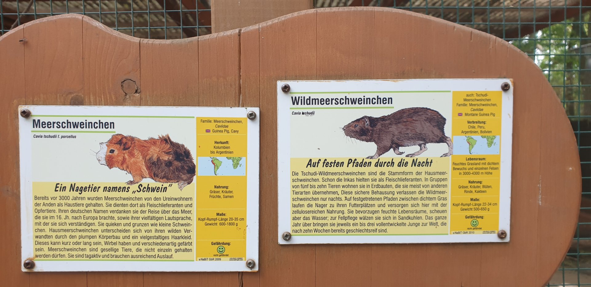 Montane Guinea Pig sign