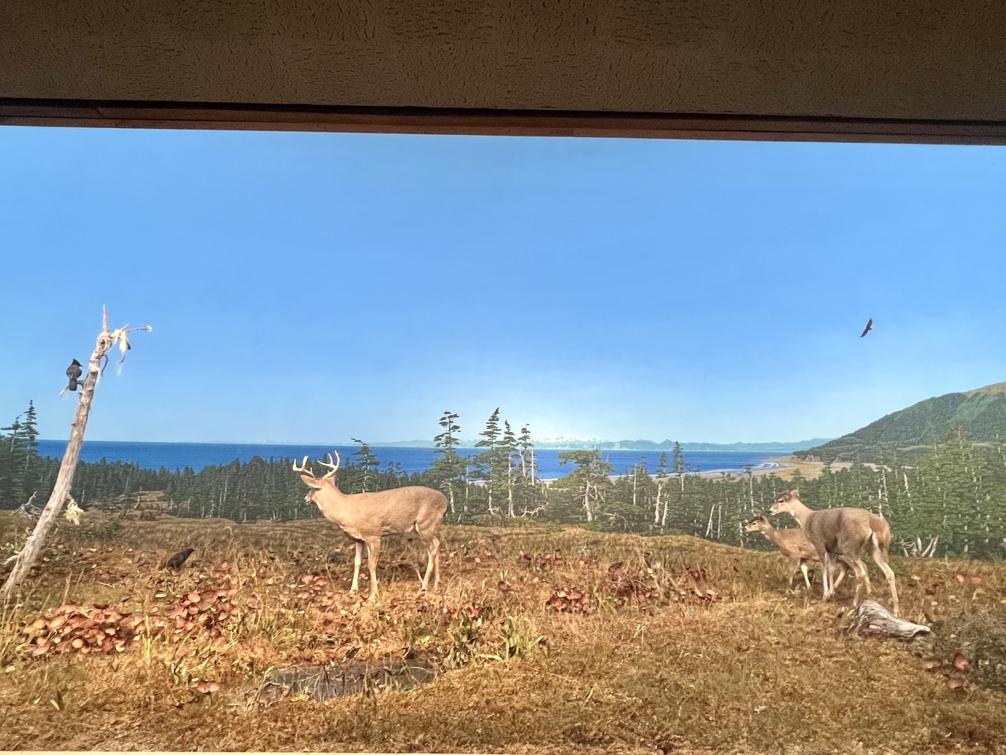 Montegue Island Diorama
