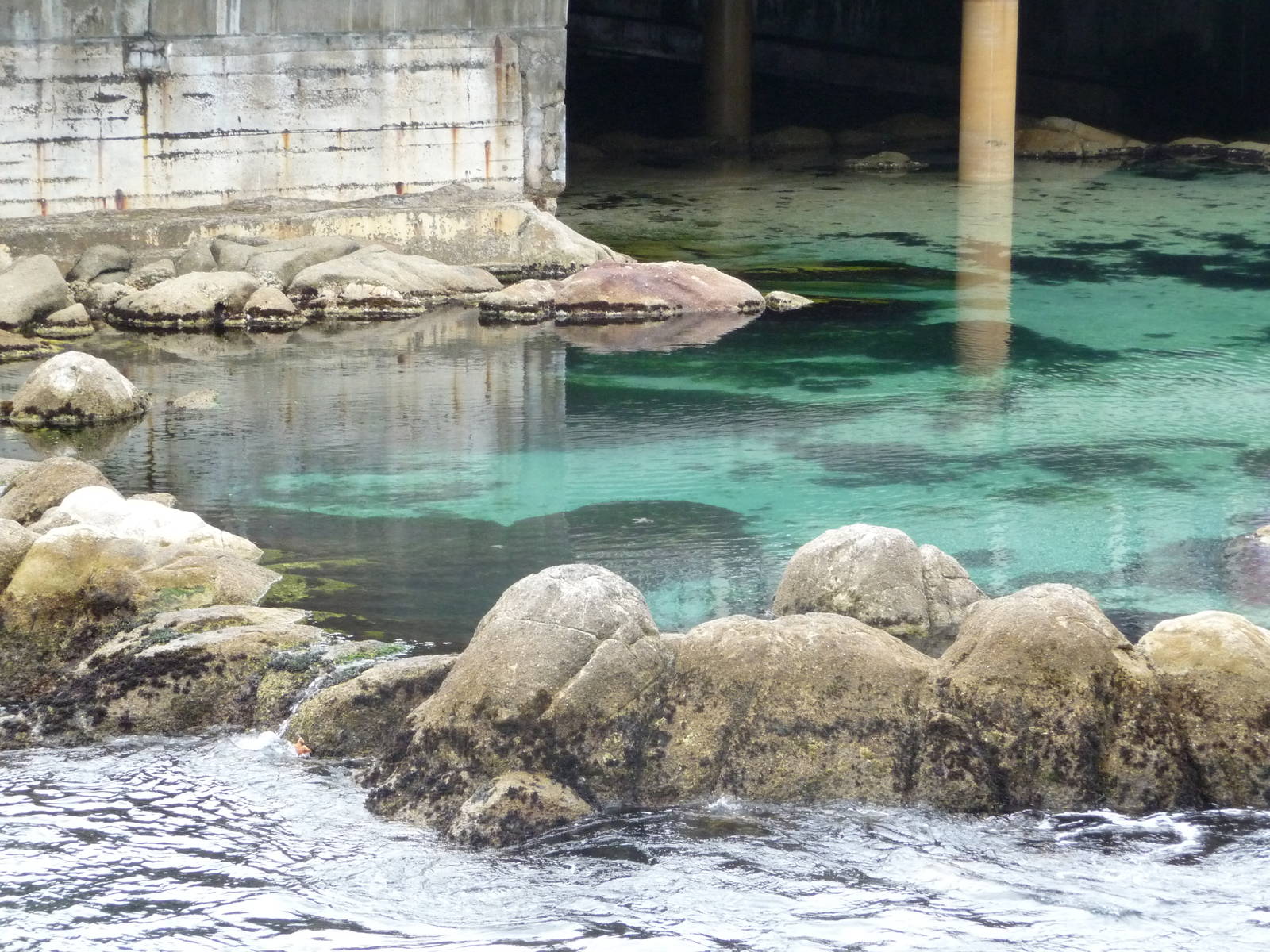 Monterey Bay Aquarium - Outdoor Deck View