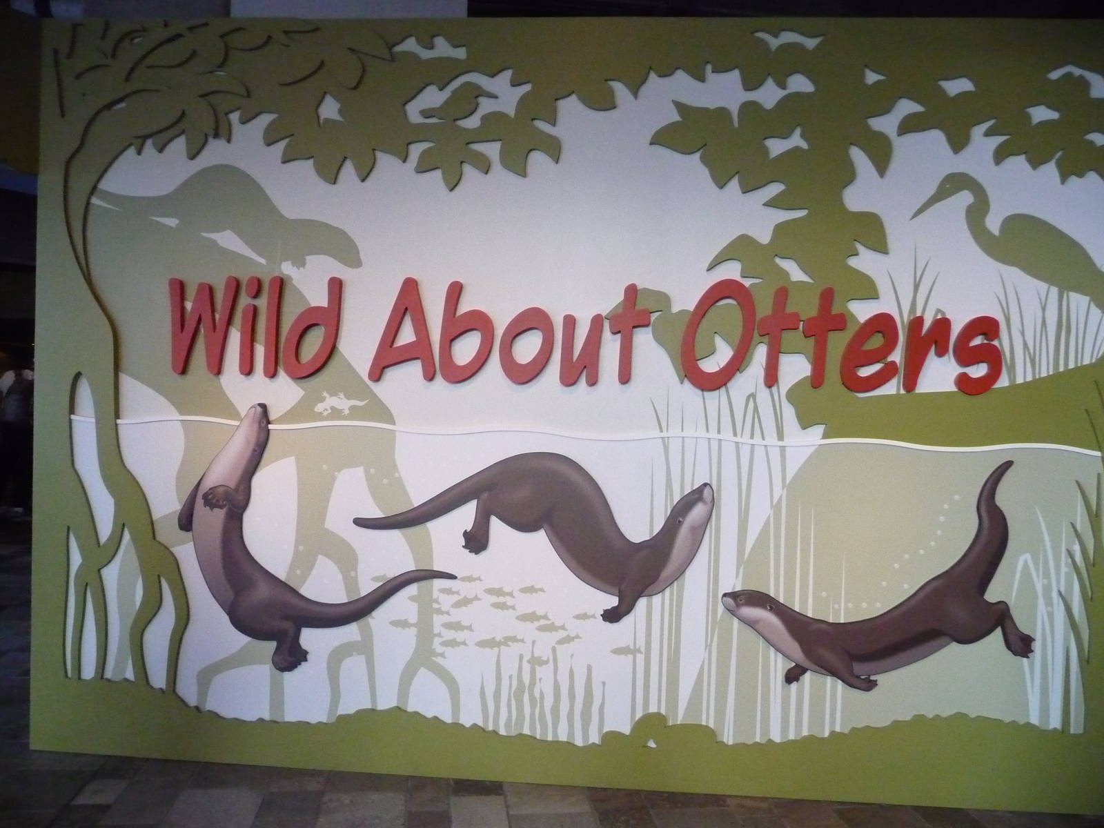 Monterey Bay Aquarium - Wild About Otters