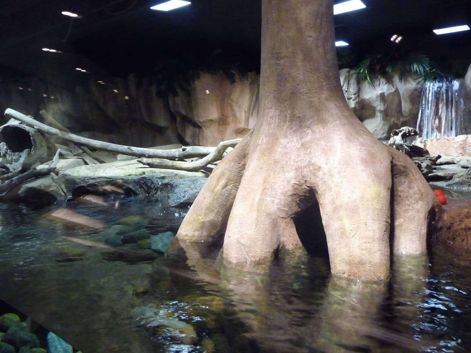 Monterey Bay Aquarium - Wild About Otters