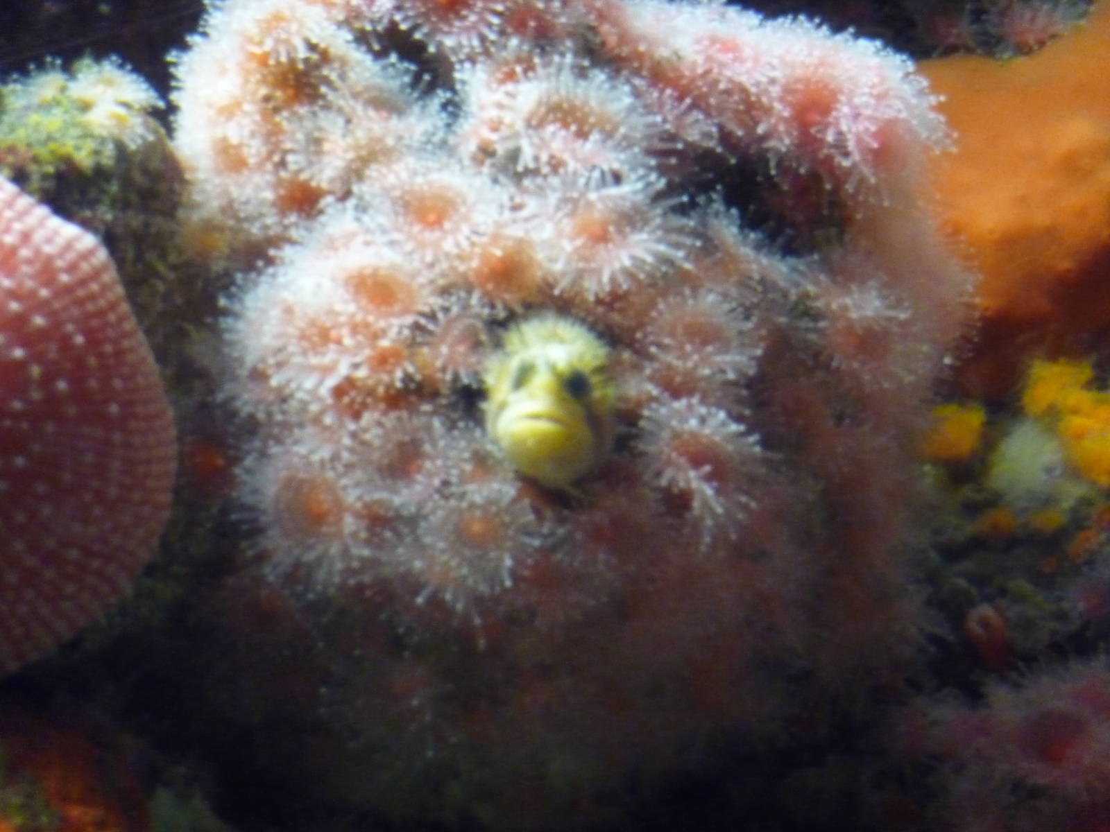 Monterey Bay Aquarium