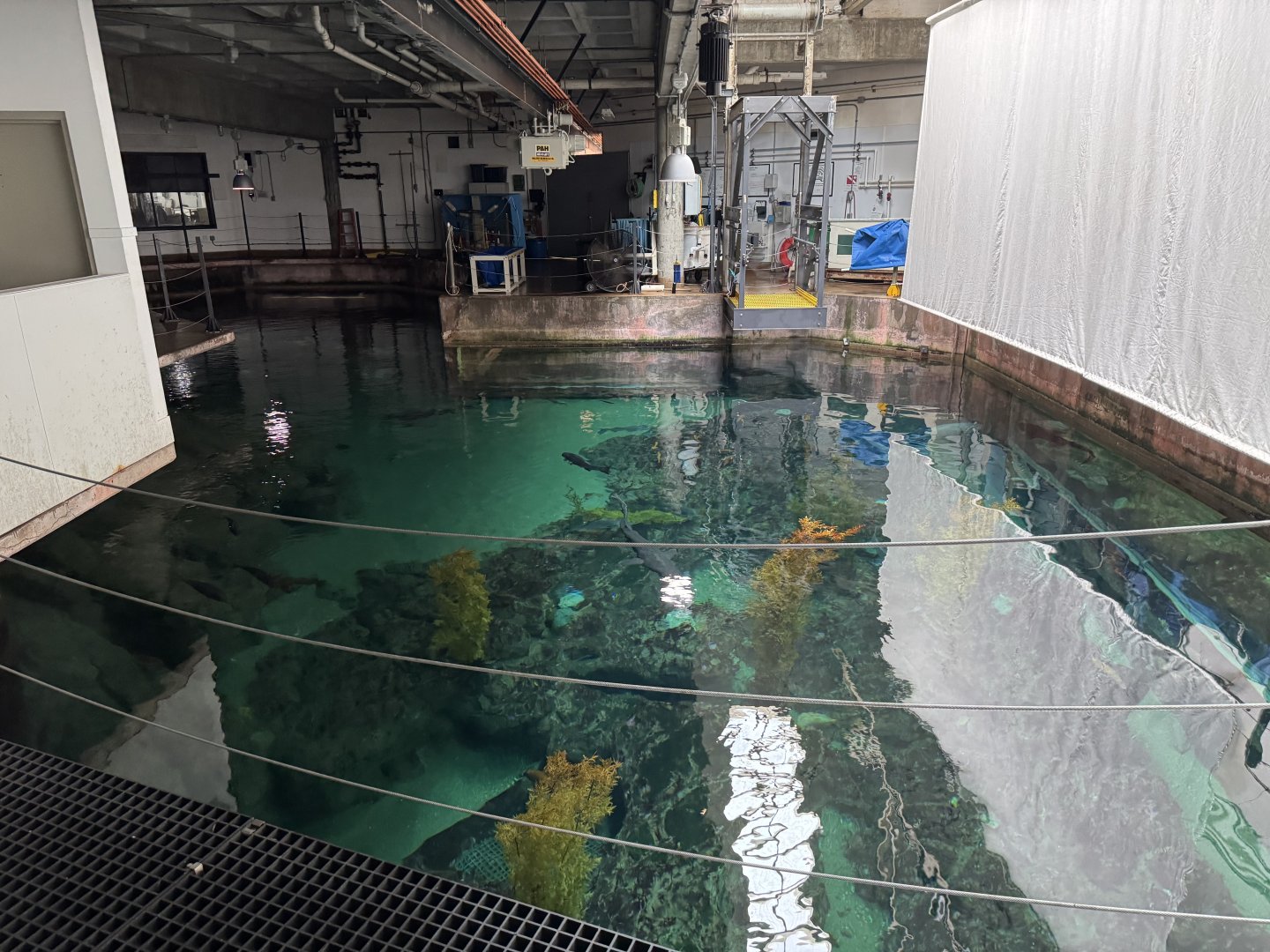 Monterey Bay Habitats Top View