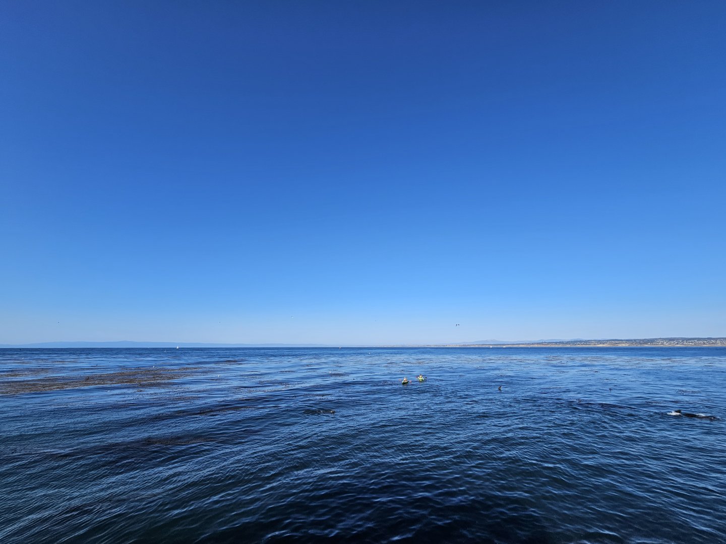 Monterey Bay view (Outdoor Deck)