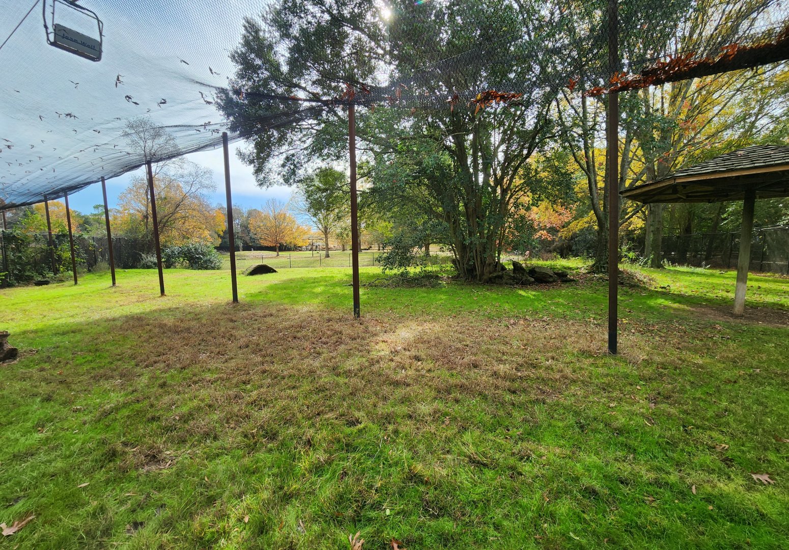 Montgomery Zoo - Cheetah exhibit