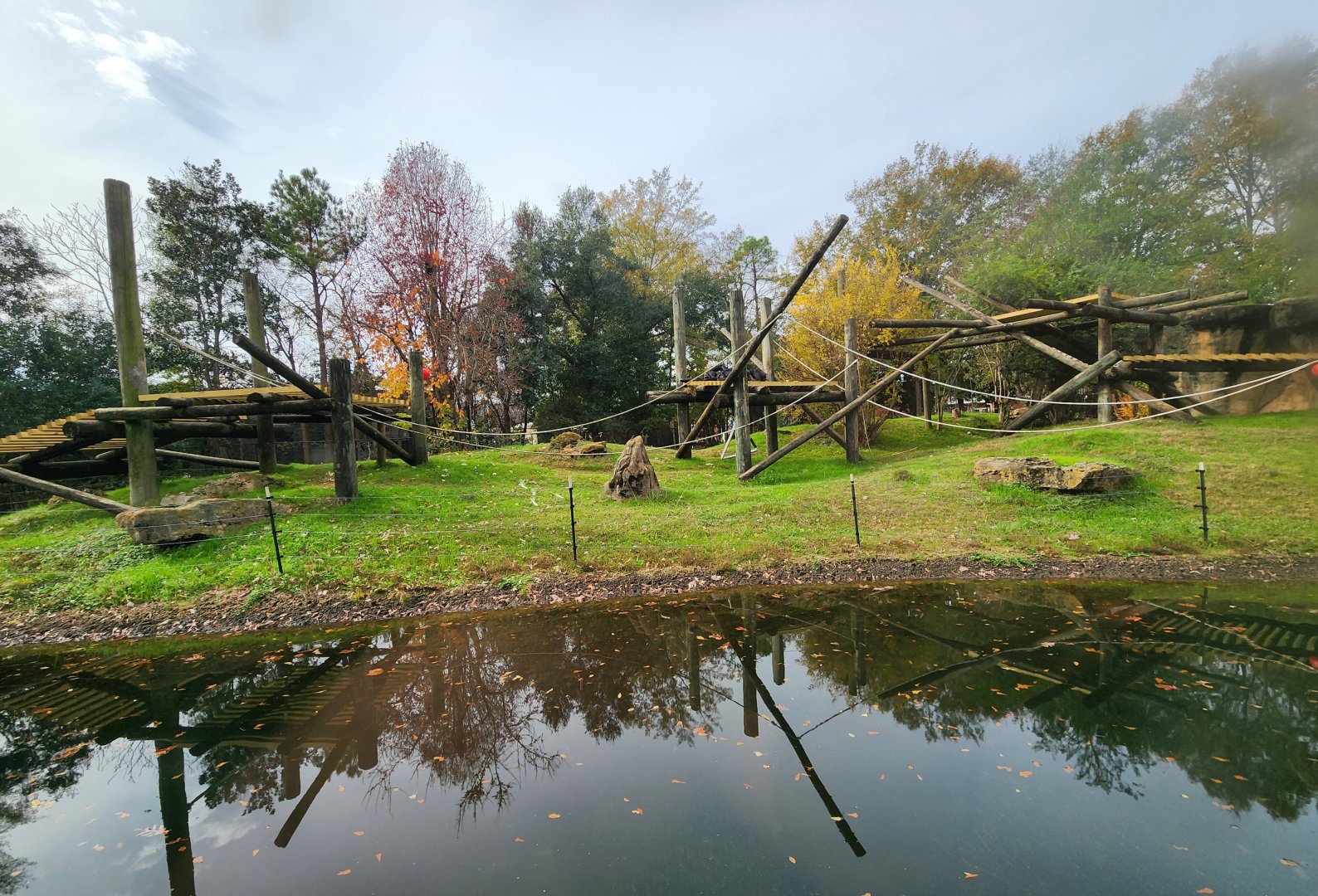 Montgomery Zoo - Chimpanzee exhibit