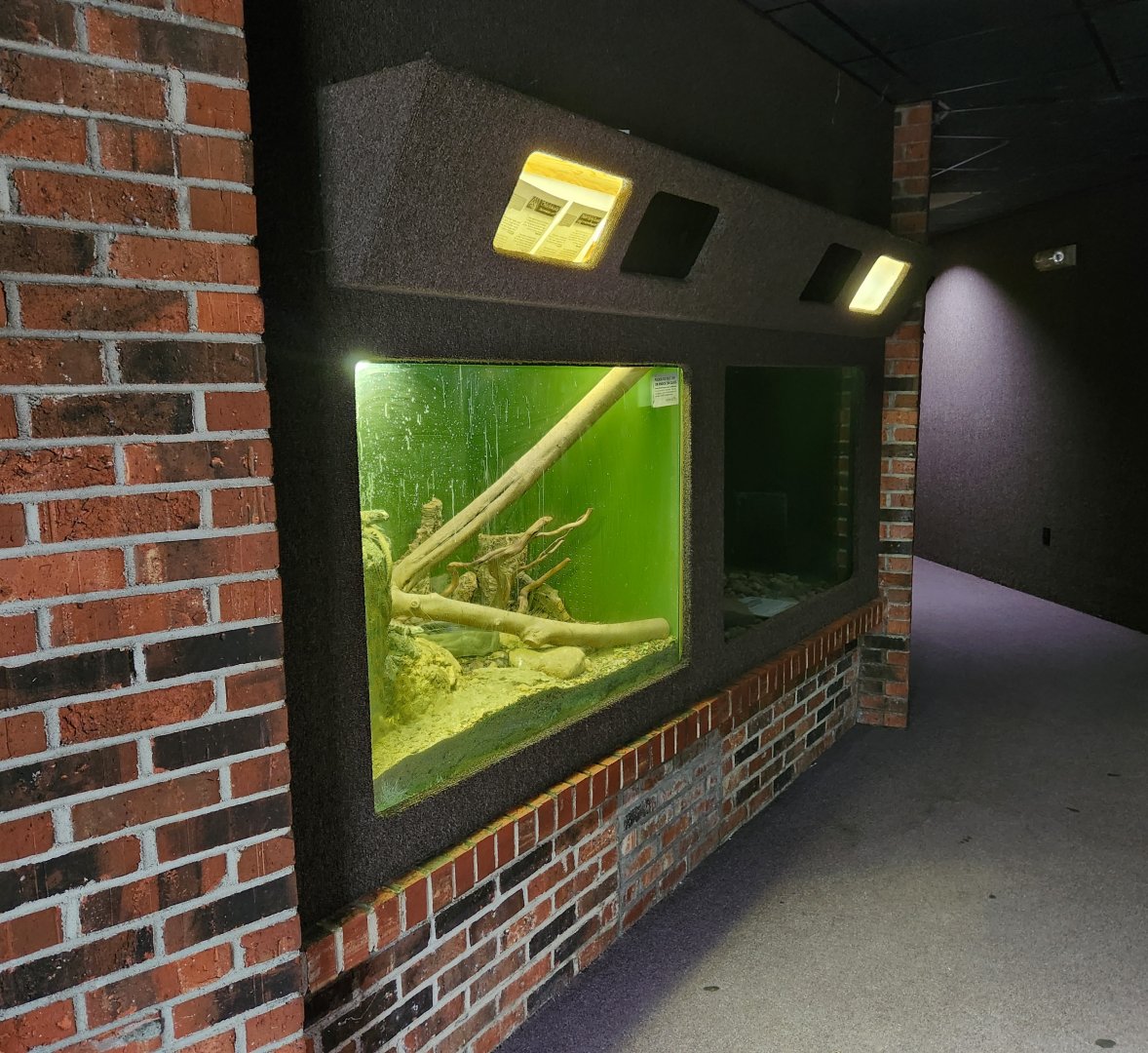 Montgomery Zoo - Decaying reptile house