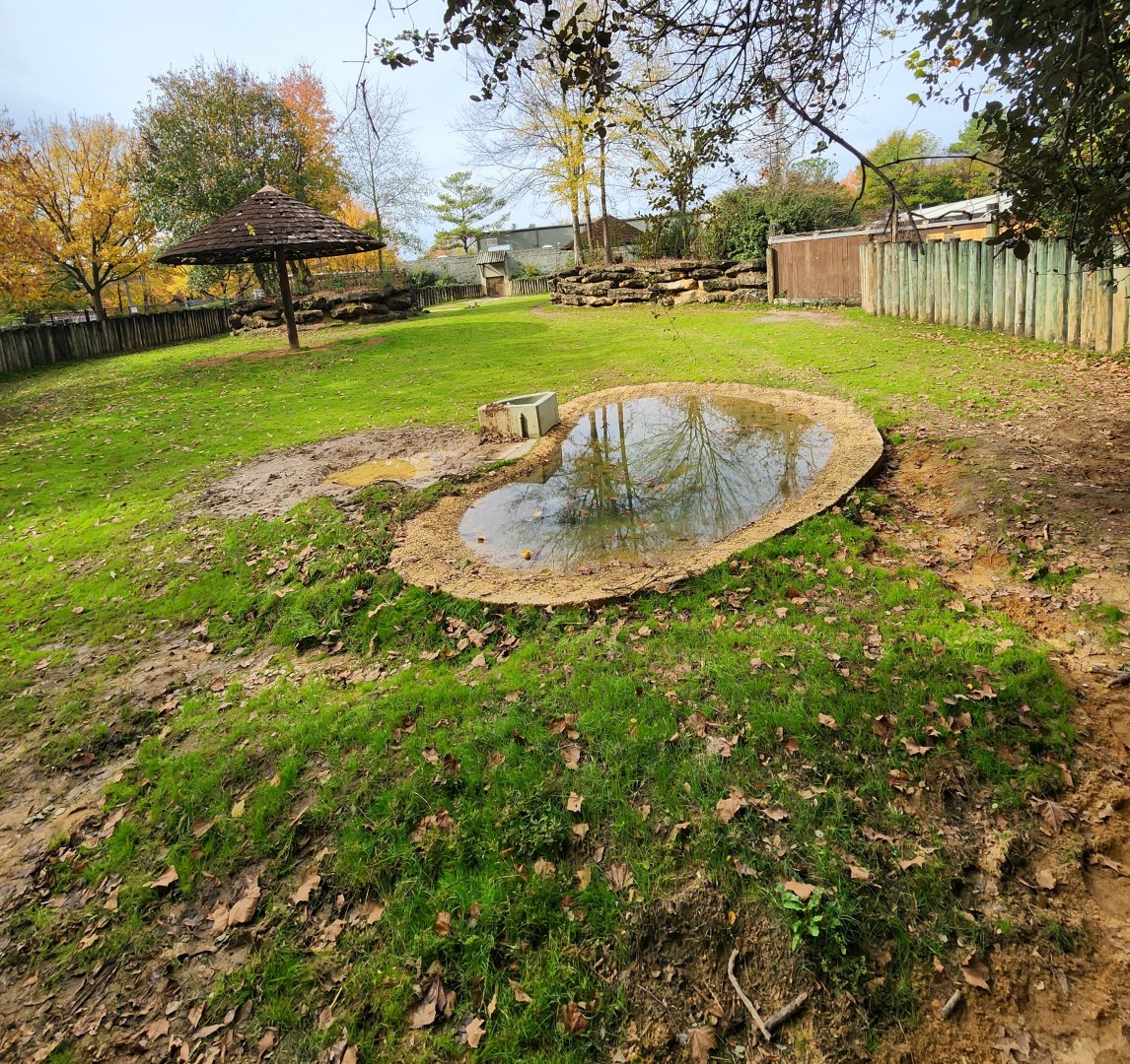 Montgomery Zoo - Indian Rhinoceros yard