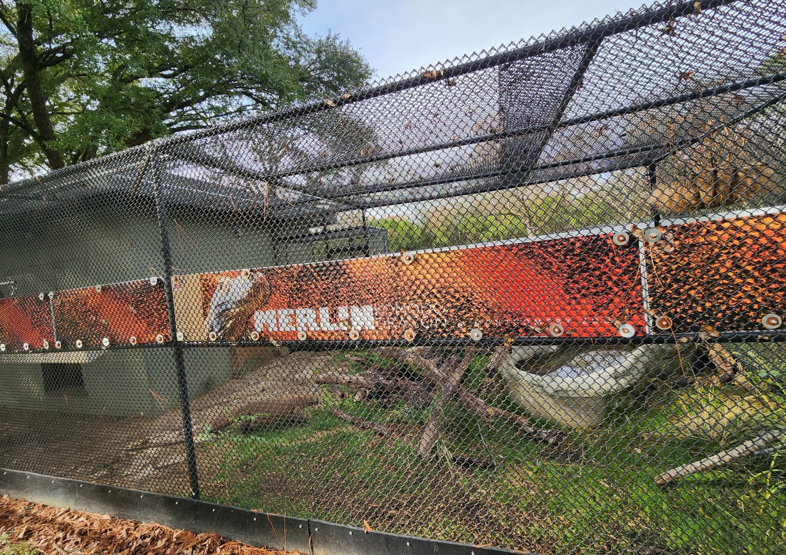 Montgomery Zoo - Komodo Dragon cage