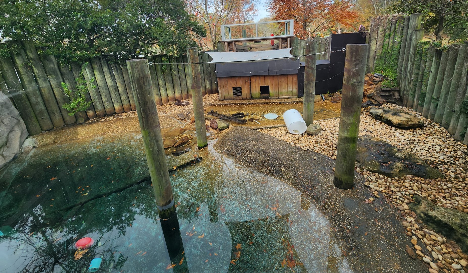 Montgomery Zoo - North American River Otter enclosure