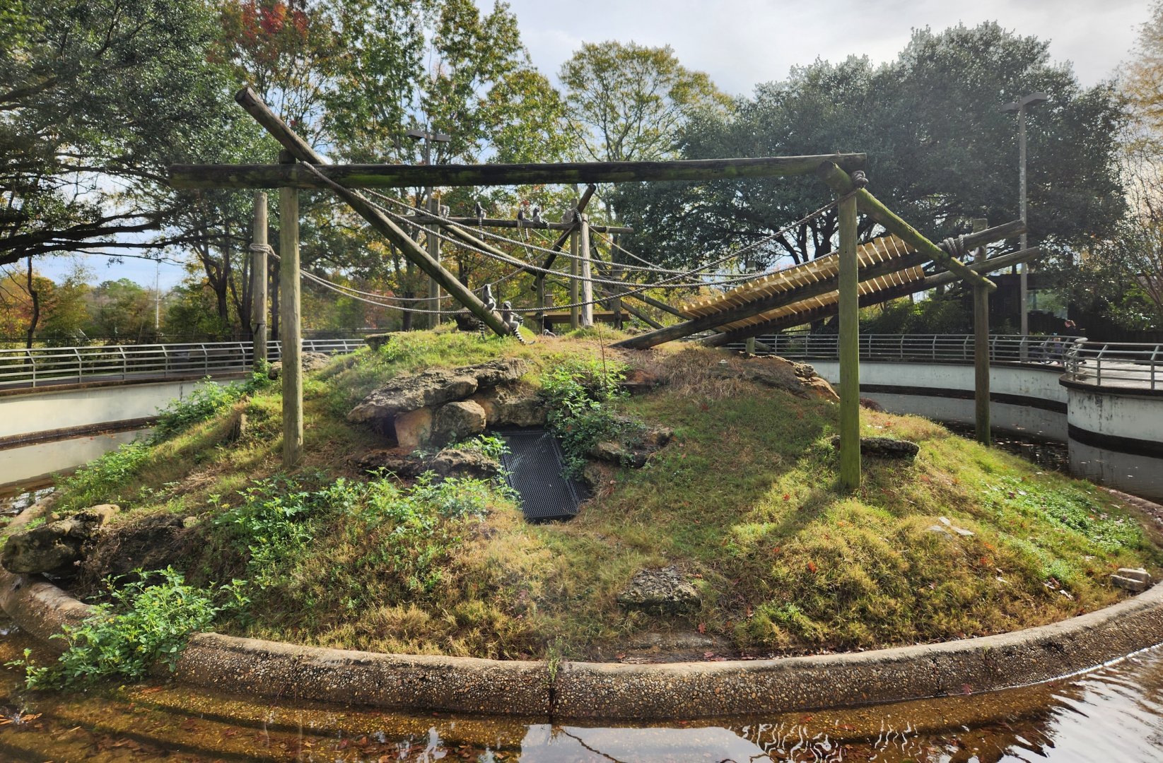 Montgomery Zoo - Ringtail Lemur exhibit