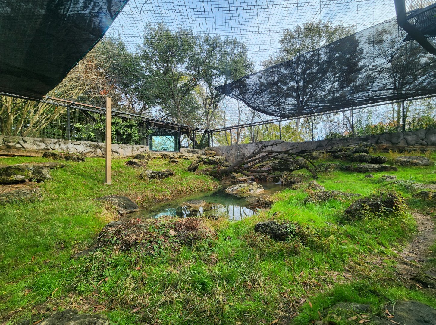 Montgomery Zoo - Snow Leopard enclosure
