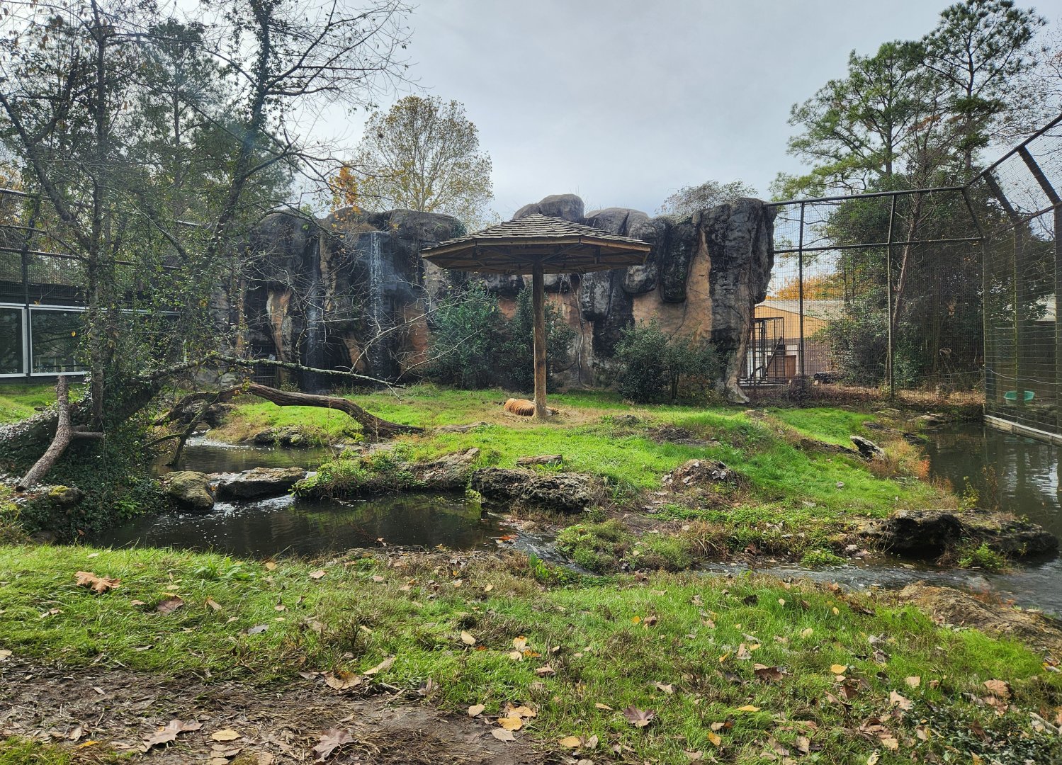 Montgomery Zoo - Tiger enclosure